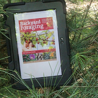 Backyard Foraging by Ellen Zachos