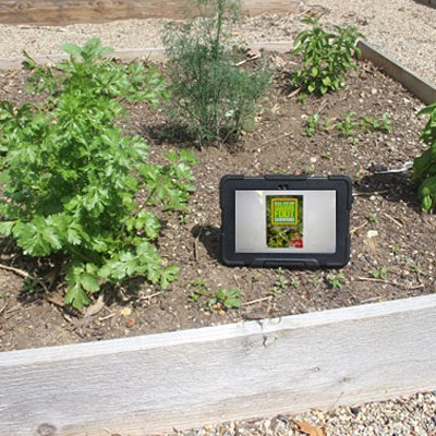 All New Square Foot Gardening by Mel Bartholomew