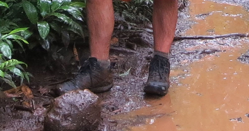 Muddy boots on a man in the rain on a wet, muddy trail