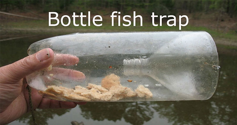 Bottle fish trap held in the hand