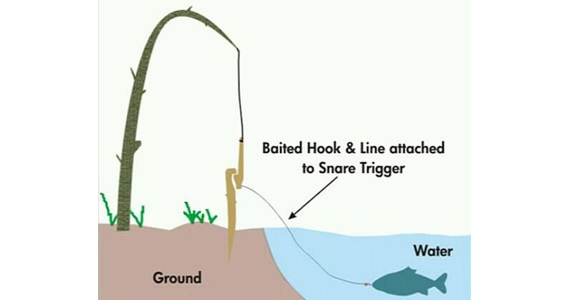 Fish snare diagram