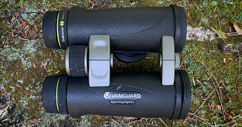 Vanguard Endeavor ED 10x42 Binoculars Review From Above