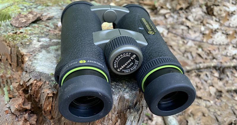 Vanguard Endeavor ED 10x42 Binoculars Review From Behind