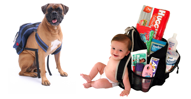 Dog and baby both wearing backpacks