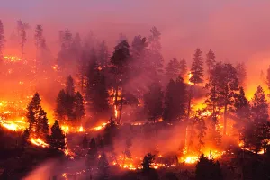 Fires burning in hills and forest