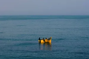 How to Survive from Being Stranded at Sea