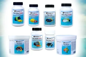 Guide to Fish Antibiotics For People