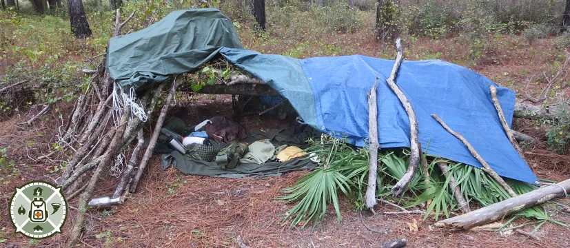 A shelter built in the woods made from sticks and a tarp under a fallen tree