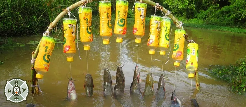 Survival Fishing Strategies When You Don’t Have Fishing Equipment