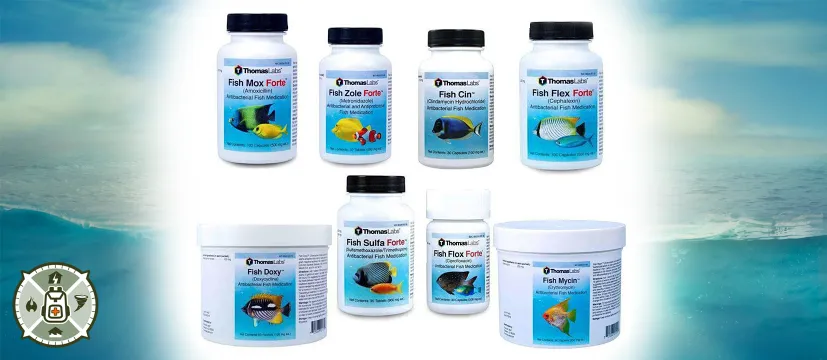 Guide to Fish Antibiotics For People
