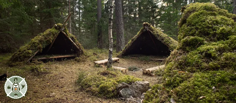 Bushcraft shelters in the woods, with moss covered roofs