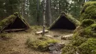 Bushcraft shelters in the woods, with moss covered roofs